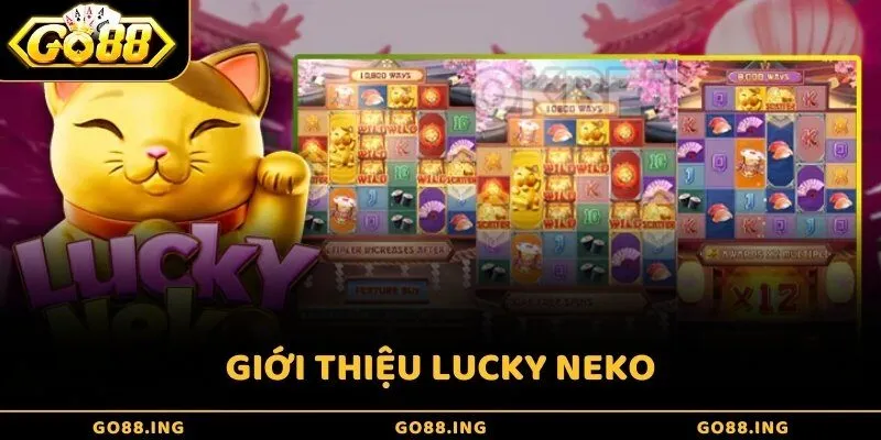 Giới thiệu Lucky Neko