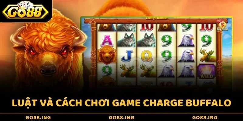 Luật và cách chơi game Charge Buffalo
